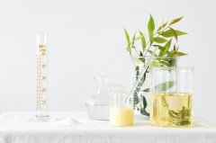 為什么越來越多的人愿意去新西蘭留學(xué)？去新西蘭留學(xué)有什么好處？