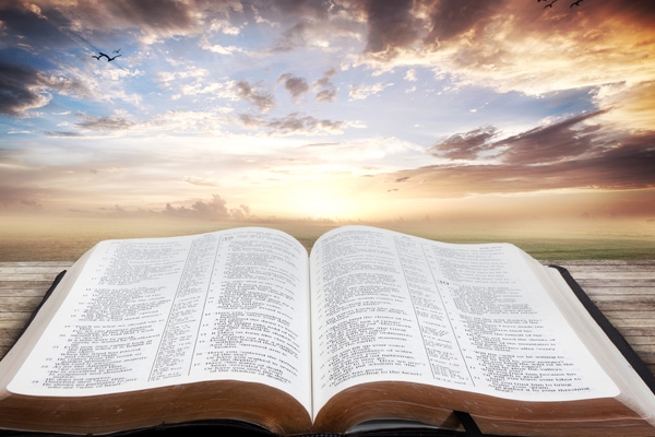 美國部分“明確要求/強(qiáng)制”要求學(xué)生接種新冠疫苗的大學(xué)名單